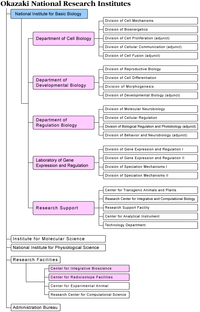 org_chart