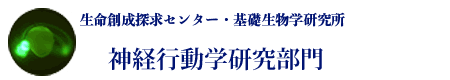 基礎生物学研究所・神経行動学研究部門