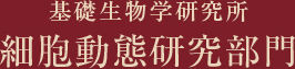 基礎生物学研究所 細胞動態研究部門