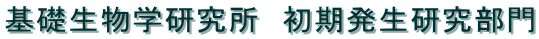 基礎生物学研究所　初期発生研究部門 