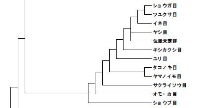 tree_005