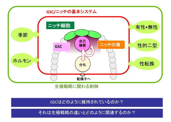 研究概要 イメージ