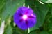 AK321i_DSC_0018