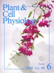 Cover2008e-1