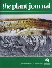 Cover2007e-1