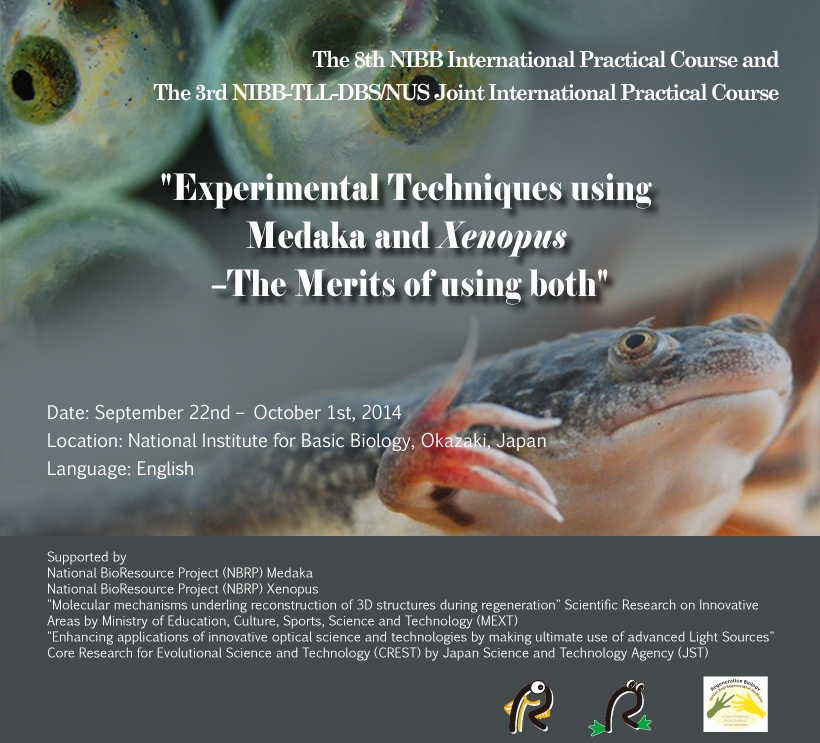 The 8th NIBB International Practical Course<br>The 3rd NIBB-TLL-DBS/NUS Joint International Practical Course