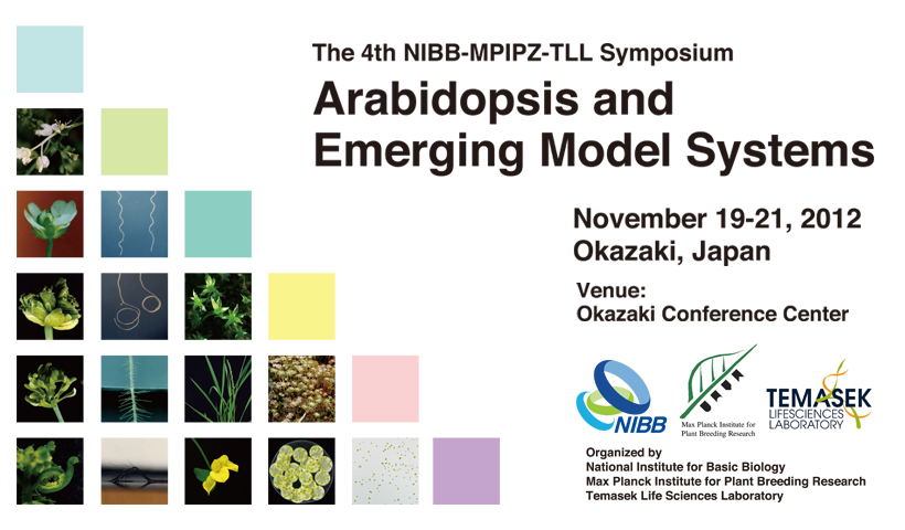 The 4th NIBB-MPIPZ-TLL Symposium