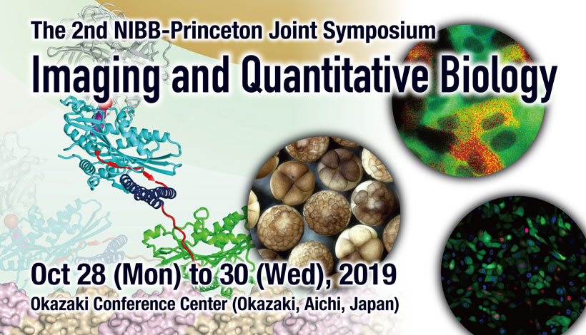 The 2nd NIBB-Princeton Joint Symposium