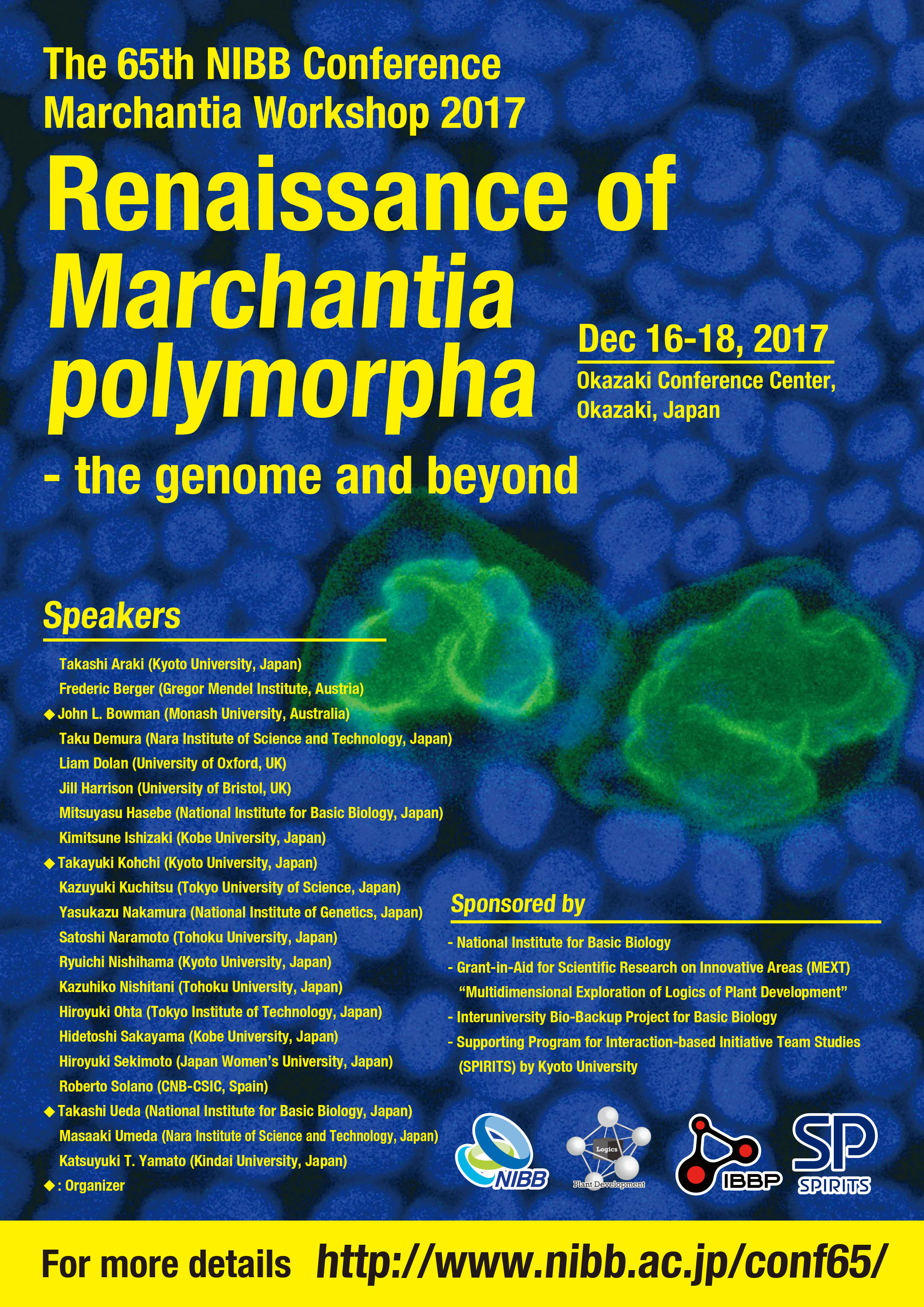 The 65th NIBB Conference ”Renaissance of Marchantia polymorpha ‐the genome and beyon”