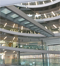 embl_imai_02.jpg