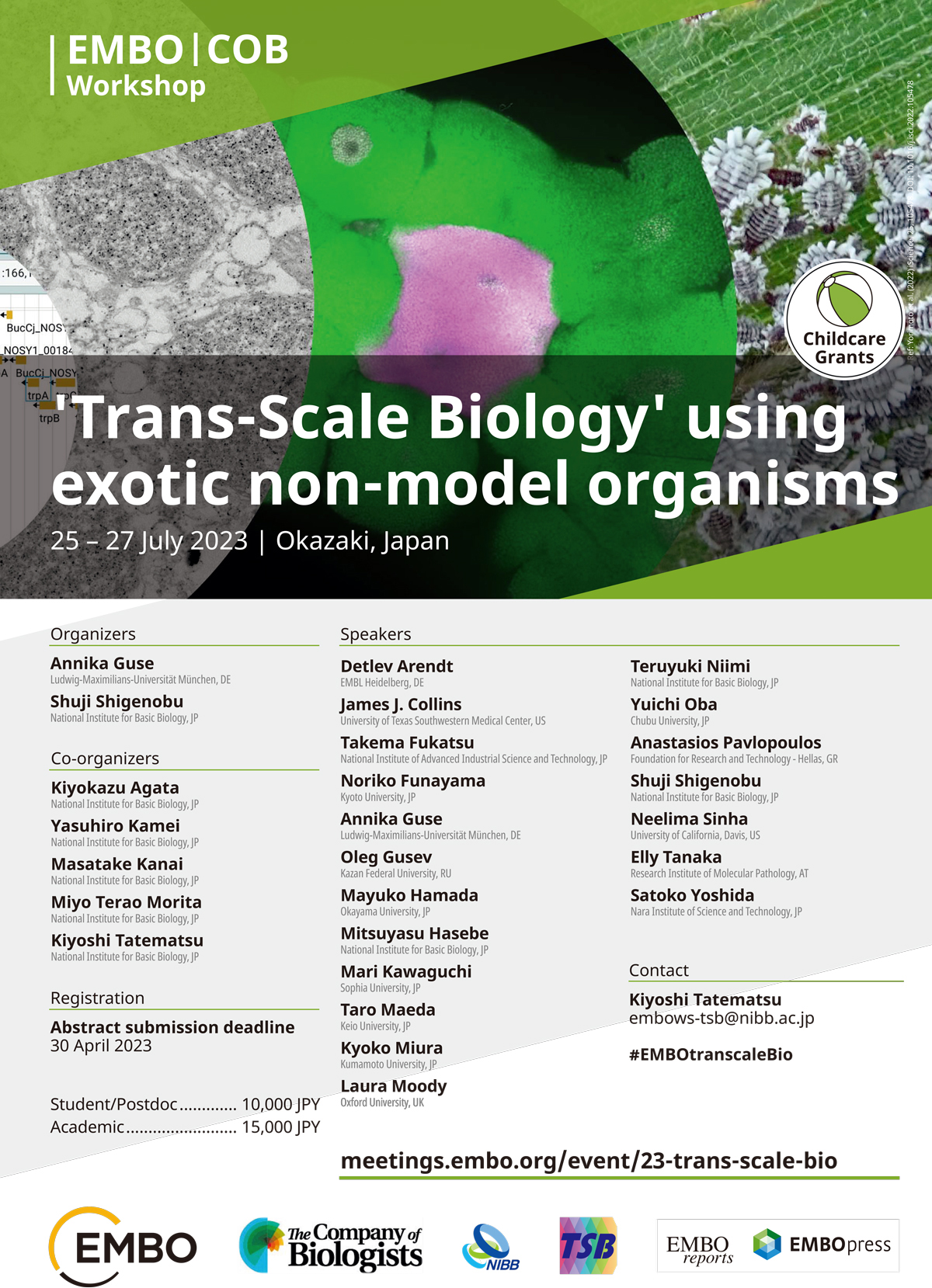 EMBO | COB Workshop 