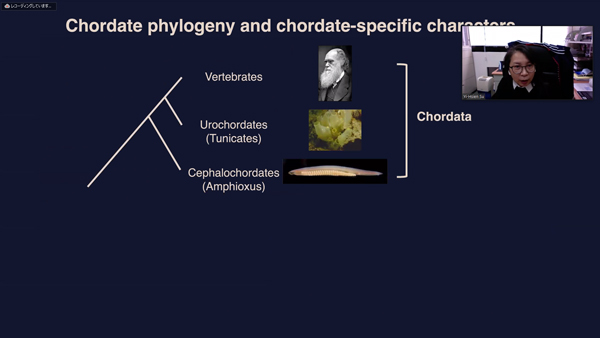 NIBB-AS_Webinar_05.jpg