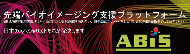 ABiSバナー