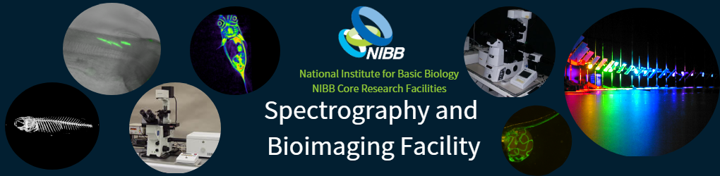 ホリデイ・トレッキング・クラブ