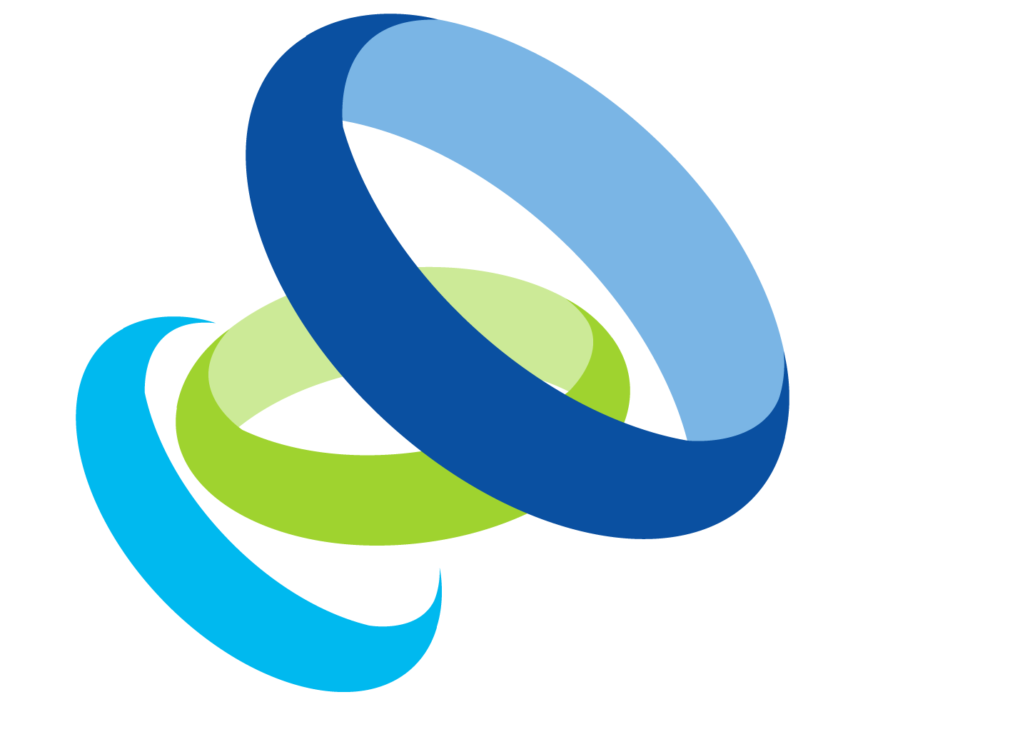 NIBB 50th emblem