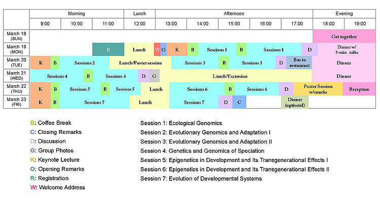 Time Table