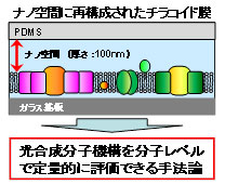 森垣　憲一