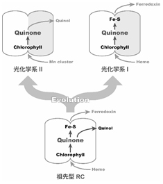 浅井班