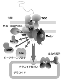 中井班