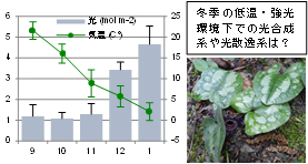 野口班