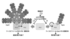 丸山班