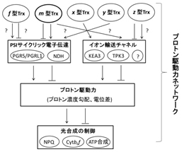 桶川班