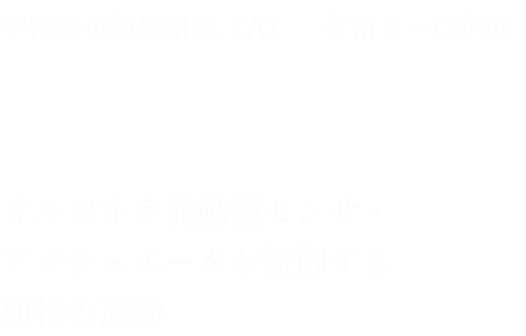 学術変革領域研究（A） 令和8〜12年度 植物運動統御