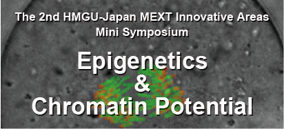 The 2nd HMGU-Japan Mini Symposium Epigenetics and Chromatin Potential