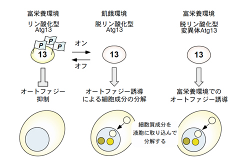 図1