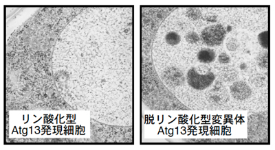 図2