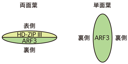 図3