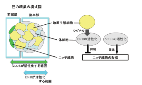 図3