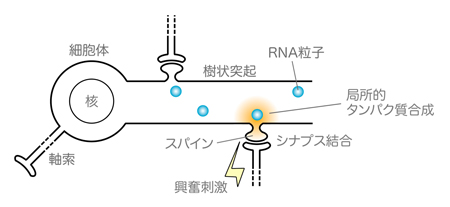 図2