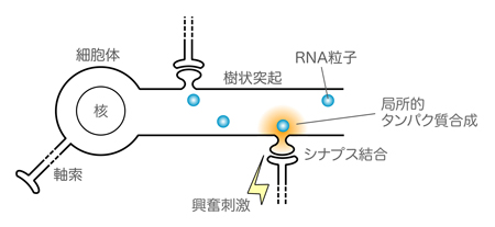 図2