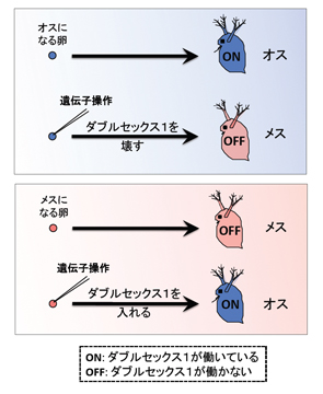 図1