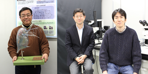 Prof. Iguchi, Prof. Watanabe and Dr. Kato