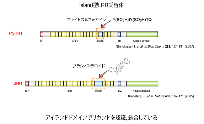 fig1-1.jpg