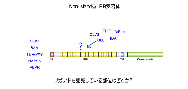 fig1-2.jpg