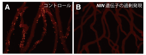 fig3.jpg