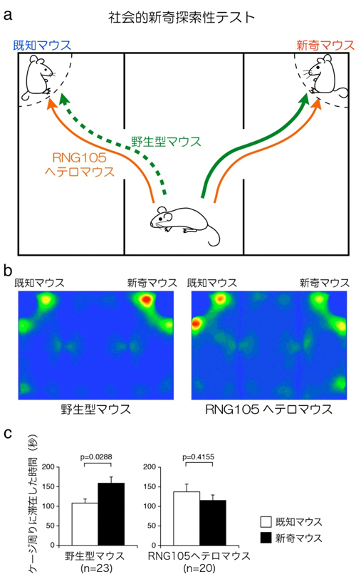 fig2.jpg