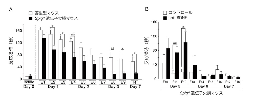 fig3.jpg