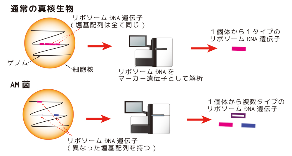 figure3.jpg