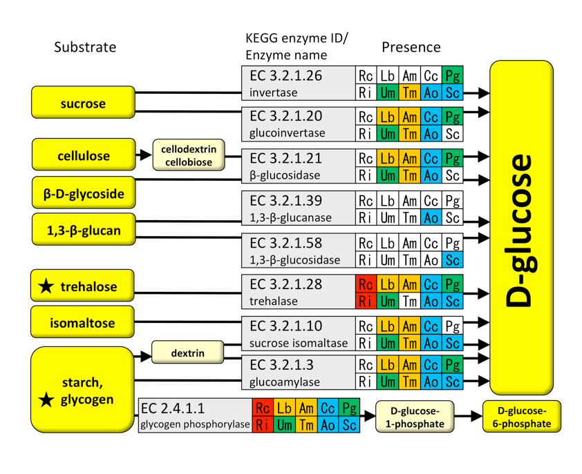 fig3.jpg