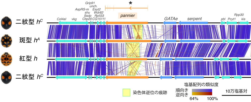 fig3.jpg