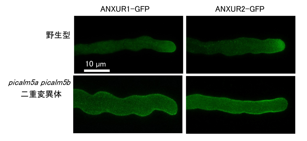 fig3.jpg