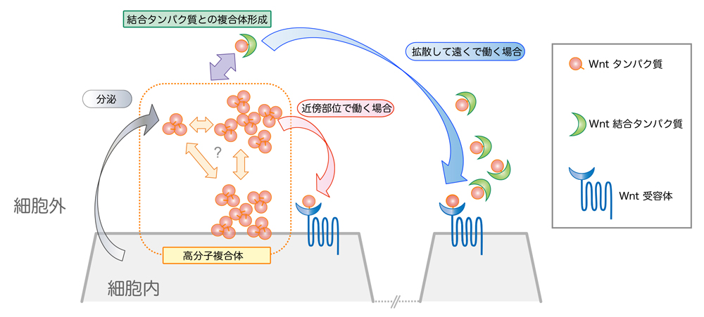 fig3.jpg