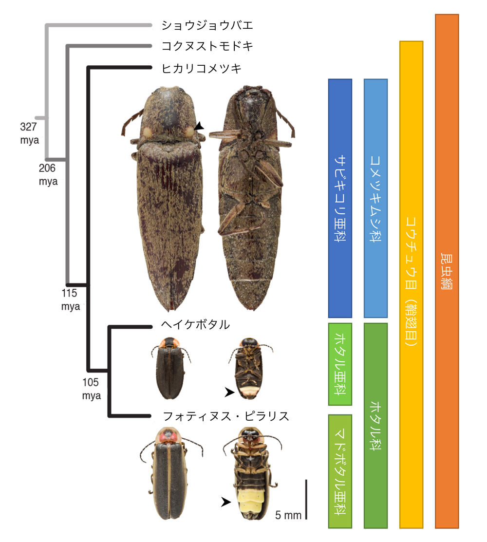 fig2.jpg