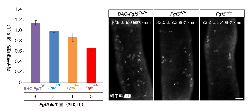 fig1.jpg