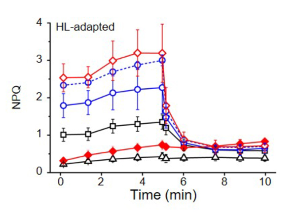 fig2.jpg