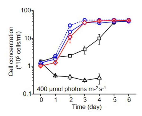 fig3.jpg